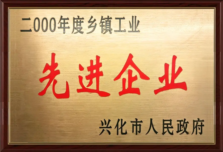 Advanced Enterprise